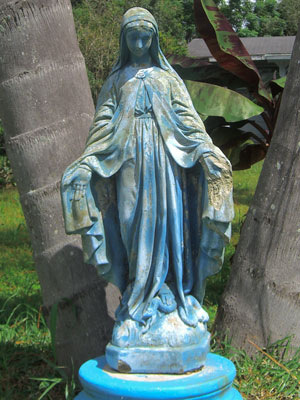 Image Restoration Mary